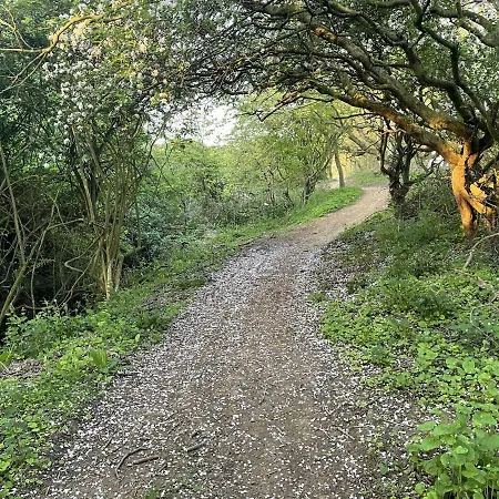 The Tidal Shack Ferienhaus *