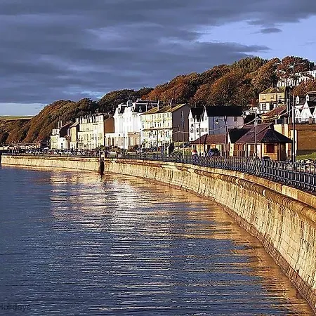 The Tidal Shack *